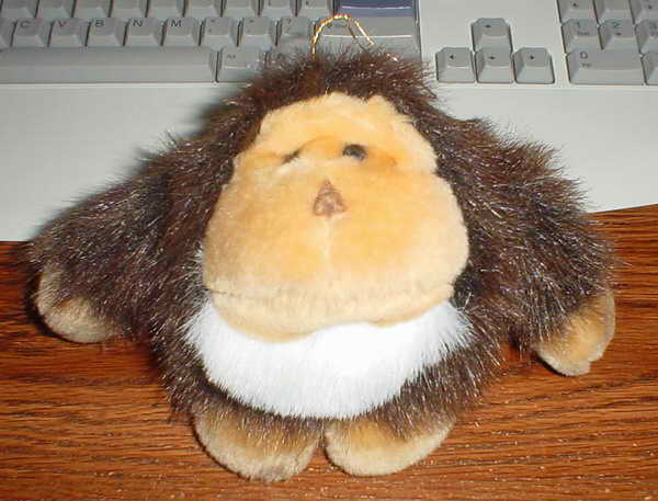 My Monkey