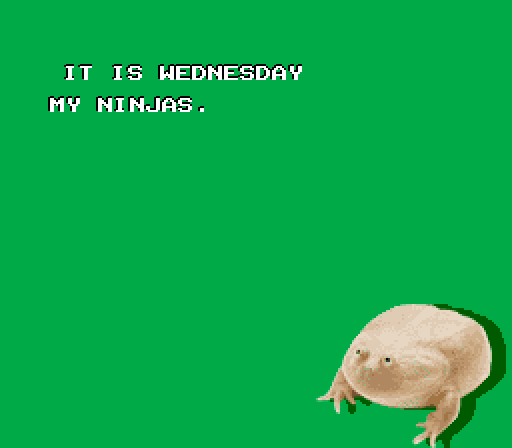 wednesdayfrog